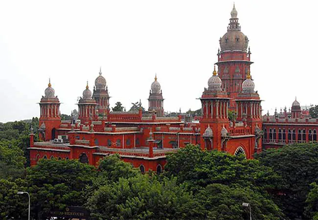 Chennai Municipality to pay compensation of Rs 63 lakh high court order 